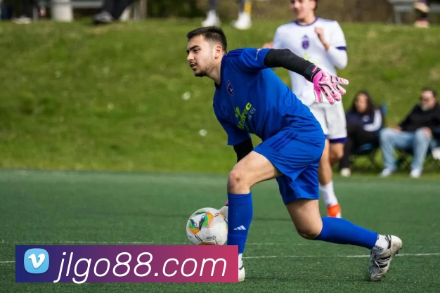 九龙娱乐官网平台生态图